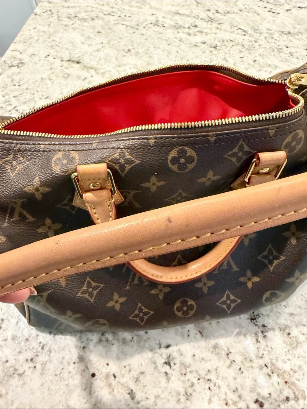 Louis Vuitton iconic louis